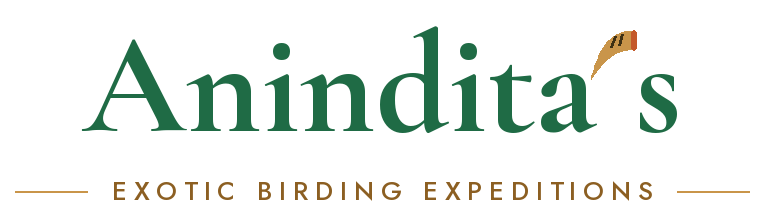 Anindita's Exotic Birding Expeditions